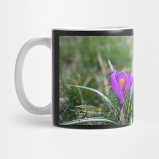 Purple and orange flower in grass 3 Mug